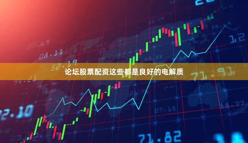 论坛股票配资这些都是良好的电解质