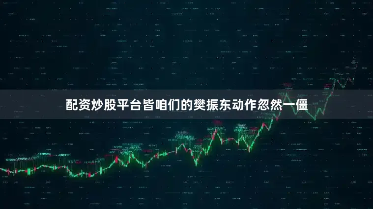 配资炒股平台皆咱们的樊振东动作忽然一僵